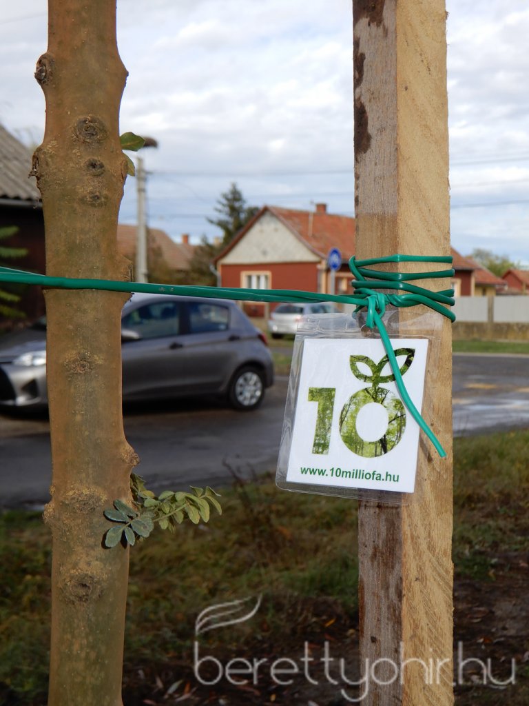 Közösségi faültetés Berettyóújfaluban 22